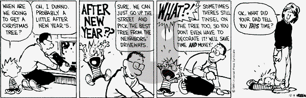 Calvin and Hobbes - Monday December 4, 1989 Comic Strip