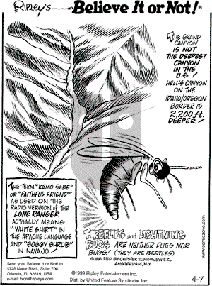 Ripley's Believe It or Not on Wednesday April 7, 1999 Comic Strip