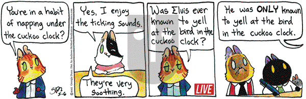 Breaking Cat News on Tuesday May 6, 2025 Comic Strip