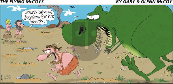 The Flying McCoys on Sunday March 16, 2025 Comic Strip