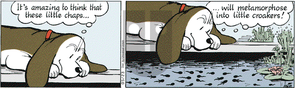 Fred Basset on Monday May 23, 2011 Comic Strip
