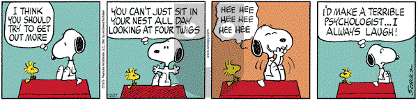 Peanuts on Saturday December 27, 2025 Comic Strip