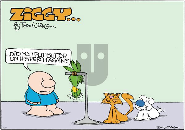 Ziggy on Sunday March 18, 2012 Comic Strip