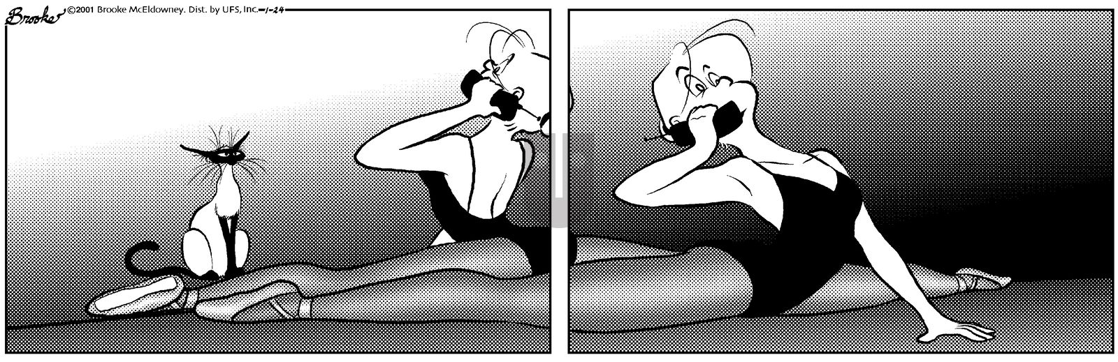 9 Chickweed Lane - Wednesday January 24, 2001 Comic Strip