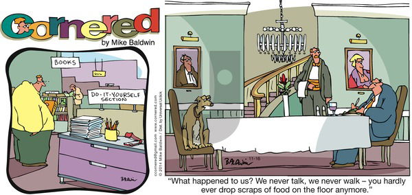 Cornered on Sunday November 16, 2014 Comic Strip