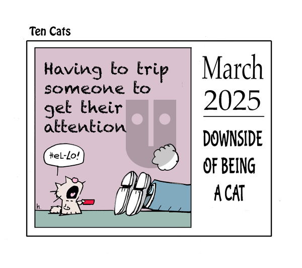 Ten Cats on Thursday March 6, 2025 Comic Strip