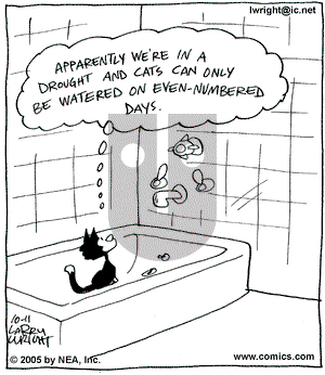 Kit 'N' Carlyle on Tuesday October 11, 2005 Comic Strip