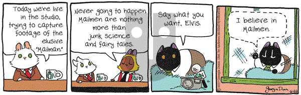 Breaking Cat News on Thursday June 22, 2017 Comic Strip