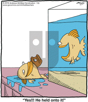 In the Bleachers on Tuesday July 9, 2019 Comic Strip