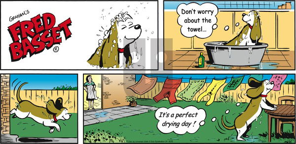 Fred Basset on Sunday September 20, 2015 Comic Strip