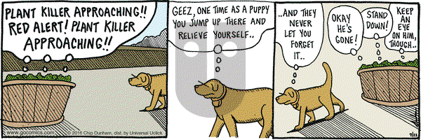 Overboard on Friday July 22, 2016 Comic Strip