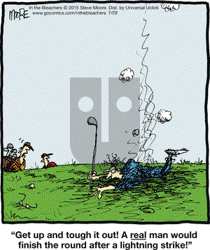 In the Bleachers on Wednesday July 29, 2015 Comic Strip