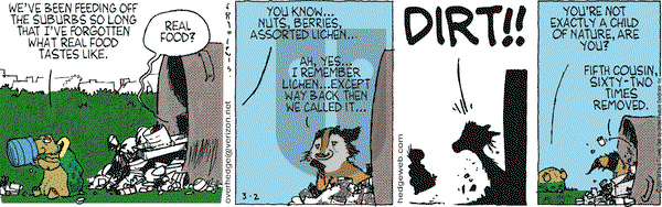 Over the Hedge on Friday March 2, 2007 Comic Strip