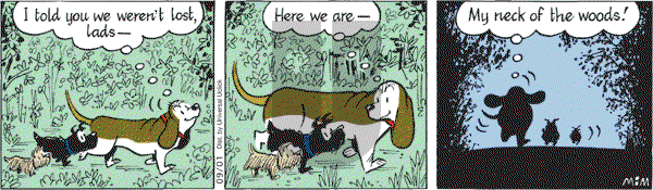 Fred Basset on Wednesday September 1, 2010 Comic Strip