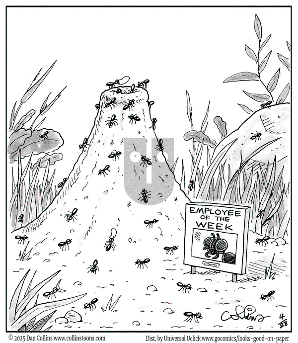 Looks Good on Paper on Monday April 28, 2025 Comic Strip
