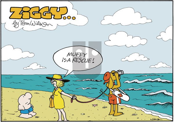 Ziggy on Sunday February 24, 2019 Comic Strip