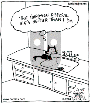 Kit 'N' Carlyle on Friday October 15, 2004 Comic Strip