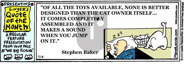 The Big Picture on Saturday May 17, 2025 Comic Strip