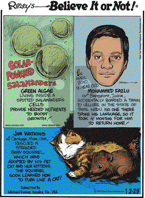 Ripley's Believe It or Not - Saturday December 25, 2010 Comic Strip