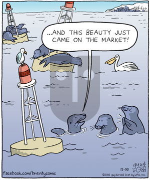 Brevity on Thursday December 30, 2010 Comic Strip