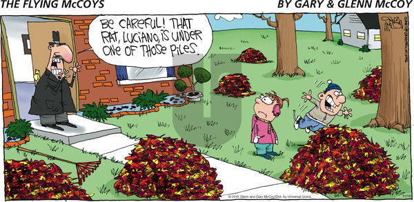 The Flying McCoys on Sunday November 10, 2013 Comic Strip