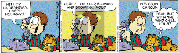 Garfield on Monday December 15, 2003 Comic Strip