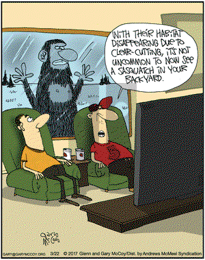 The Flying McCoys on Wednesday March 22, 2017 Comic Strip