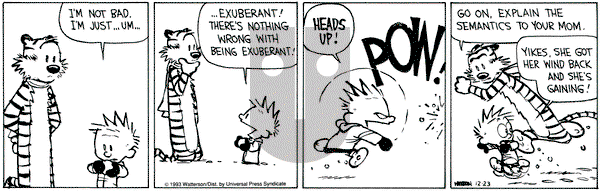 Calvin and Hobbes on Thursday December 23, 1993 Comic Strip