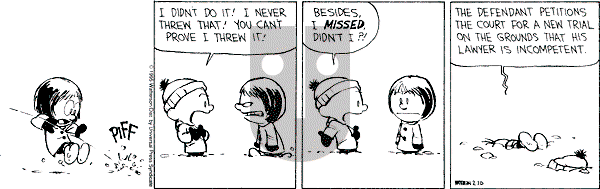 Calvin and Hobbes - Friday February 10, 1995 Comic Strip