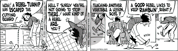 Rose is Rose on Friday January 11, 2002 Comic Strip