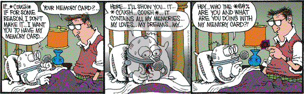 Monty on Thursday January 26, 2012 Comic Strip