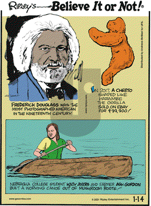 Ripley's Believe It or Not on Thursday January 14, 2021 Comic Strip