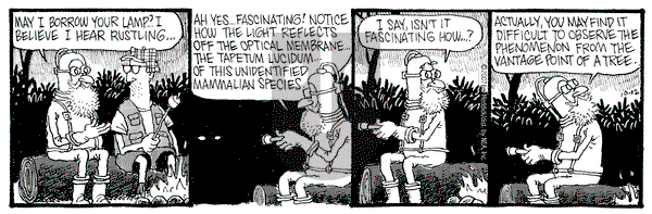 Monty on Friday October 12, 2007 Comic Strip