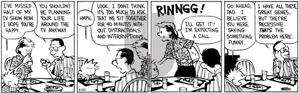 Calvin and Hobbes on Wednesday June 20, 1990 Comic Strip