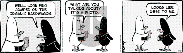W.T. Duck on Tuesday November 14, 2023 Comic Strip