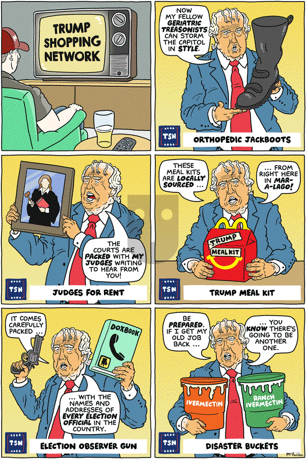 Brian McFadden on Tuesday February 27, 2024 Comic Strip