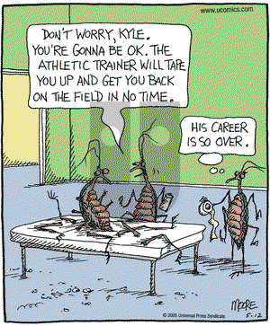 In the Bleachers on Thursday May 12, 2005 Comic Strip