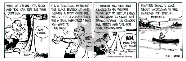 Calvin and Hobbes on Friday July 21, 1989 Comic Strip