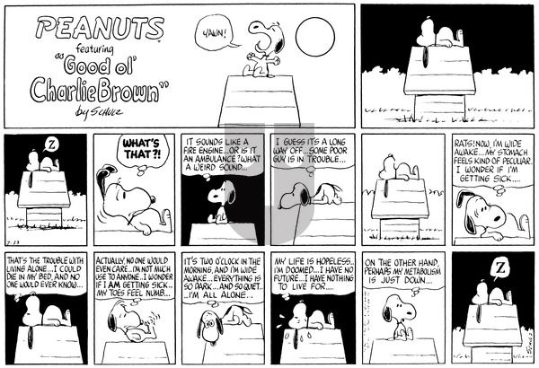Peanuts on Sunday July 23, 1967 Comic Strip