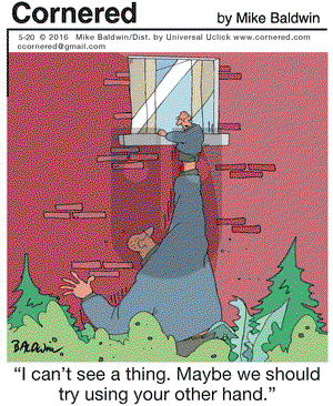 Cornered on Friday May 20, 2016 Comic Strip