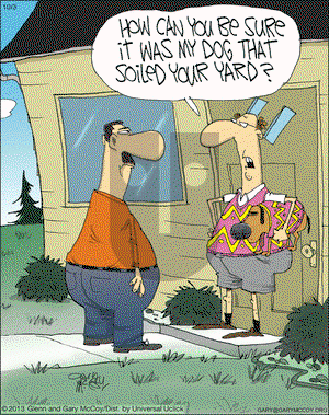 The Flying McCoys on Thursday October 3, 2013 Comic Strip