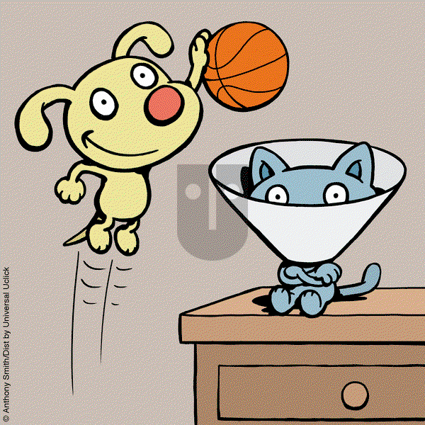 Cattitude — Doggonit on Saturday April 26, 2025 Comic Strip