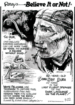 Ripley's Believe It or Not on Saturday March 22, 2008 Comic Strip