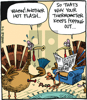 Reality Check on Thursday November 11, 2010 Comic Strip