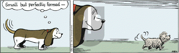 Fred Basset on Tuesday August 23, 2011 Comic Strip