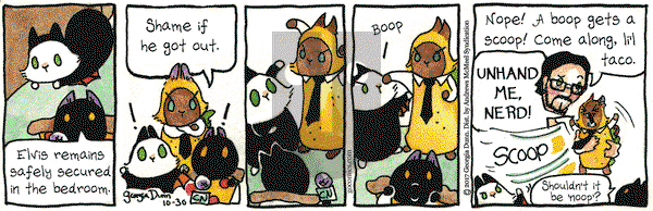 Breaking Cat News on Monday October 30, 2017 Comic Strip