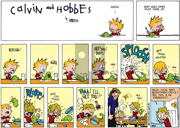 Calvin and Hobbes on Sunday December 7, 2014 Comic Strip