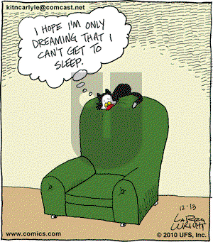 Kit 'N' Carlyle on Monday December 13, 2010 Comic Strip