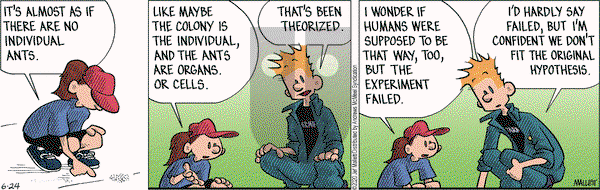 Frazz on Wednesday June 24, 2020 Comic Strip