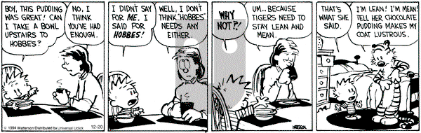 Calvin and Hobbes on Saturday December 20, 2014 Comic Strip